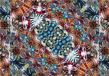 《索尼克 缤纷色彩 究极版》 威斯介绍第一弹！